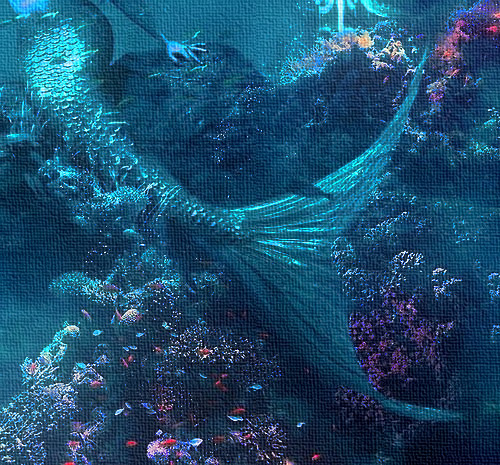 Un tuffo nell’Anima