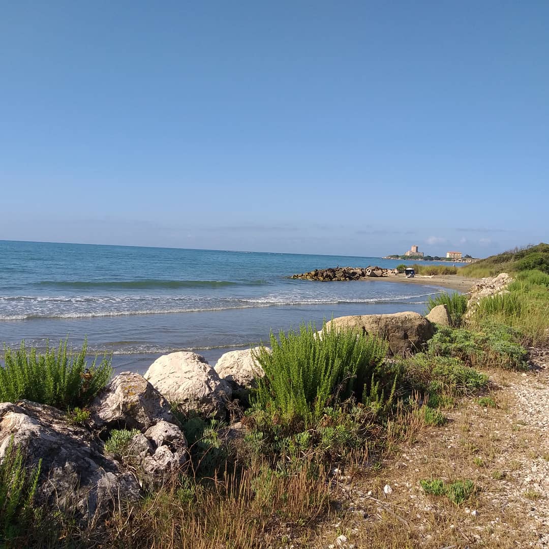 Col naso all’insù